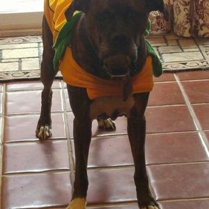 Meet your Posher, Emma