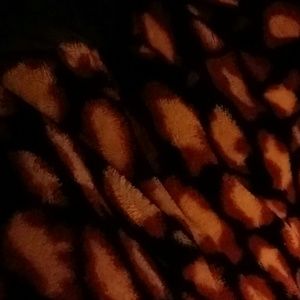 Meet your Posher, Erika