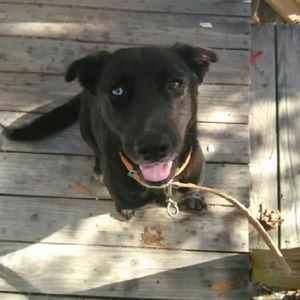 Meet your Posher, Kiana