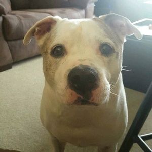 Meet your Posher, Maddie