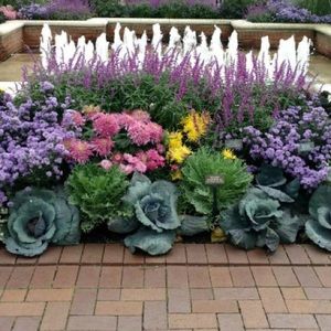 Meet your Posher, Janice