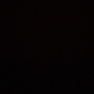 Meet your Posher, Cat