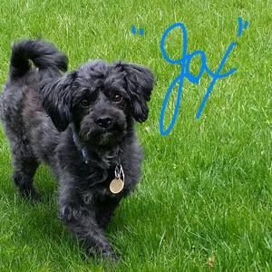 Meet your Posher, Pat