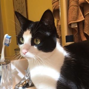 Meet your Posher, Anna