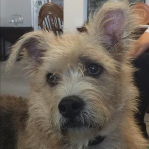 Meet your Posher, Martha