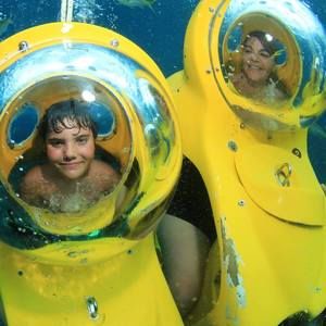 Meet your Posher, Michele