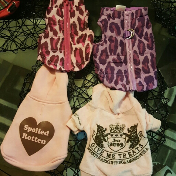 Xsmall Dog Vest and Sweaters