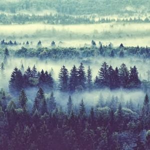 Meet your Posher, Dorothy