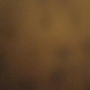 Meet your Posher, Bruce