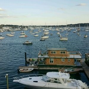 Meet your Posher, Selina