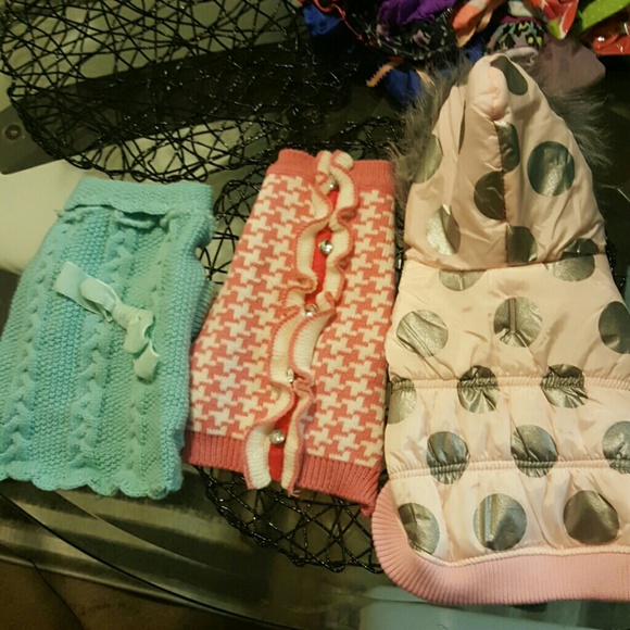 Small dog winter clothes