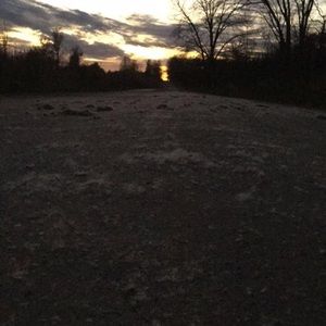 Meet your Posher, Maddy