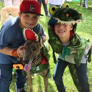 Meet your Posher, Marci