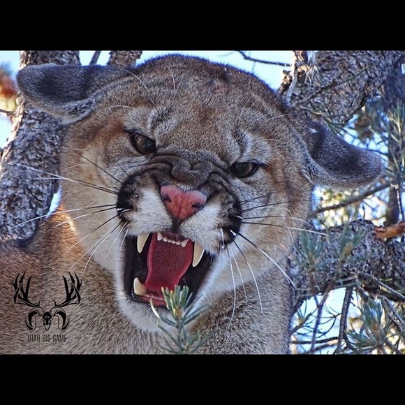 Meet your Posher, Julie - Picture 1 of 1