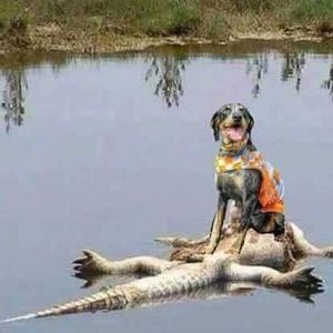 Meet your Posher, Tommy