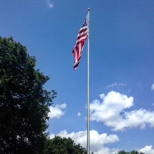 Meet your Posher, Terri