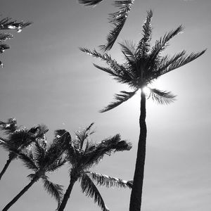 Meet your Posher, Charlene