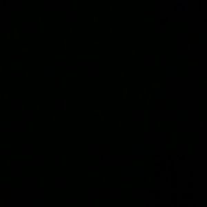 Meet your Posher, Koby