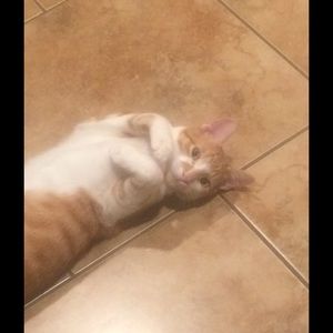 Meet your Posher, Terri