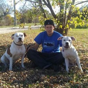 Meet your Posher, Chris