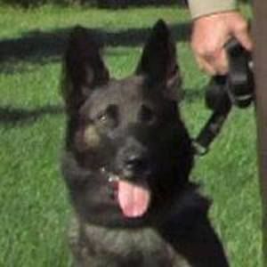 Meet your Posher, Cathy