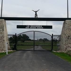 Meet your Posher, Victor