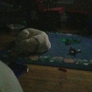 Meet your Posher, Jamie