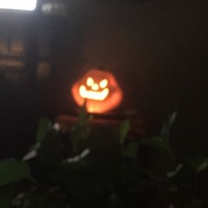 Meet your Posher, Traci