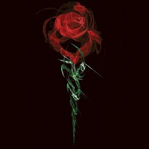 Meet your Posher, Crissy