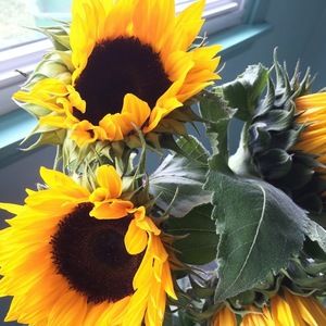 Meet your Posher, Julianna