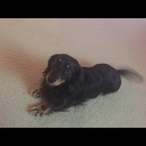 Meet your Posher, Kathy