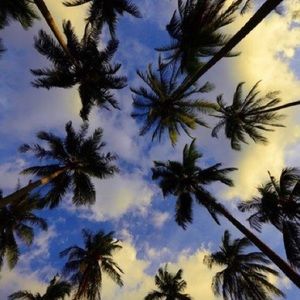 Meet your Posher, Becka