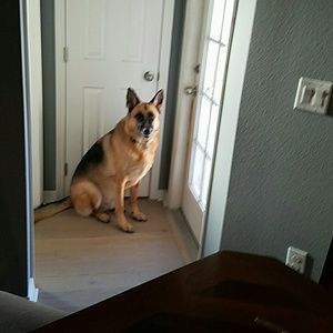 Meet your Posher, Jerry