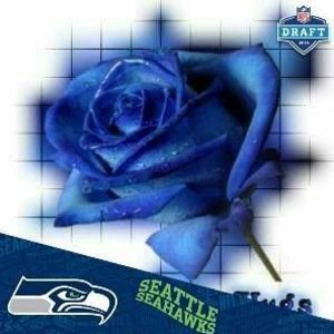 Meet your Posher, Dorothy