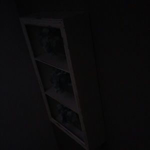 Meet your Posher, Gina