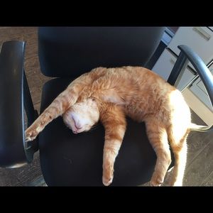 Meet your Posher, Dana