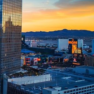 Meet your Posher, Rose