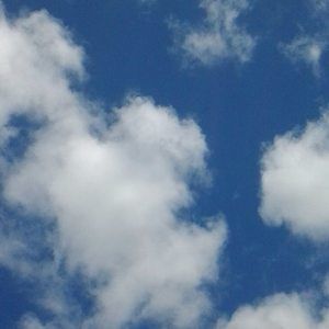 Meet your Posher, Delia