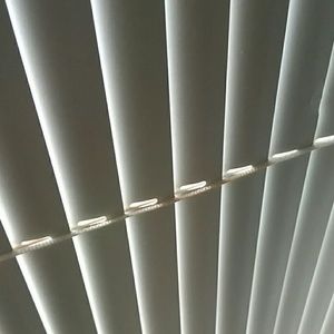 Meet your Posher, Jimmy