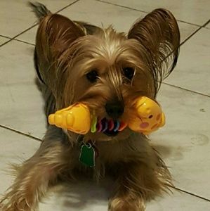 Meet your Posher, Mayra