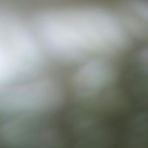 Meet your Posher, Lonzie