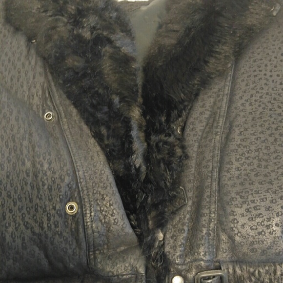 Triple F.A.T. - Picture 3 of 4