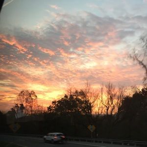 Meet your Posher, Zoe