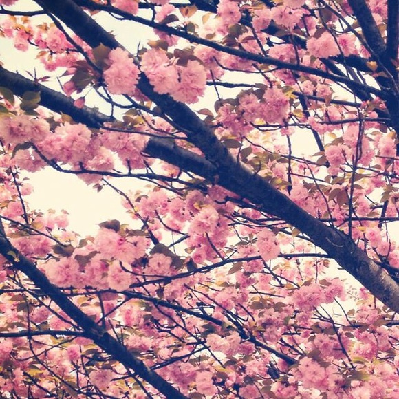 Meet your Posher, Jenna