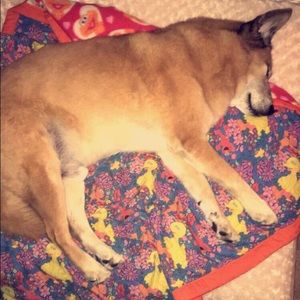 Meet your Posher, Sidney