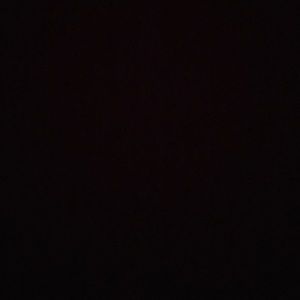 Meet your Posher, Colin