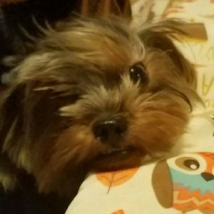 Meet your Posher, Zaira