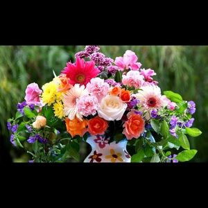 Meet your Posher, Dalina