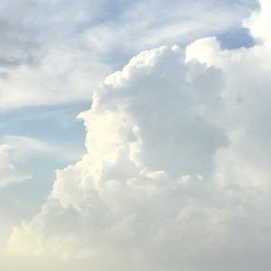 Meet your Posher, Jami