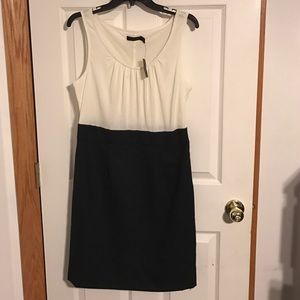 NWT The Limited dress size 10